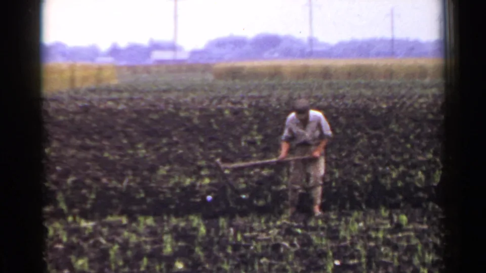 1953 Japan home-movie frame of a farmer standing in a dark cultivated field, using a hoe near low green plants and distant farmland.