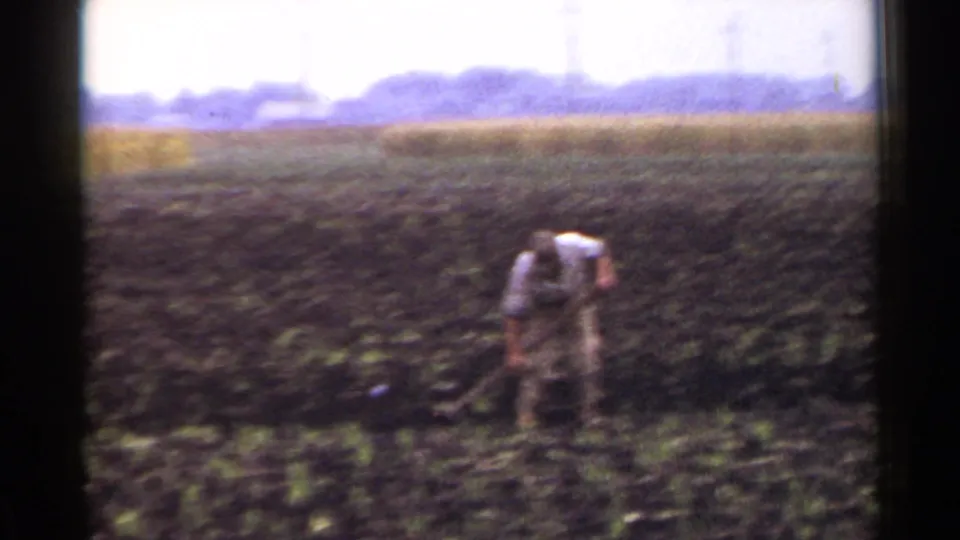 1953 Japan 8mm frame with a farmer bent over in a dark field, tending soil near young shoots with a grain field behind.
