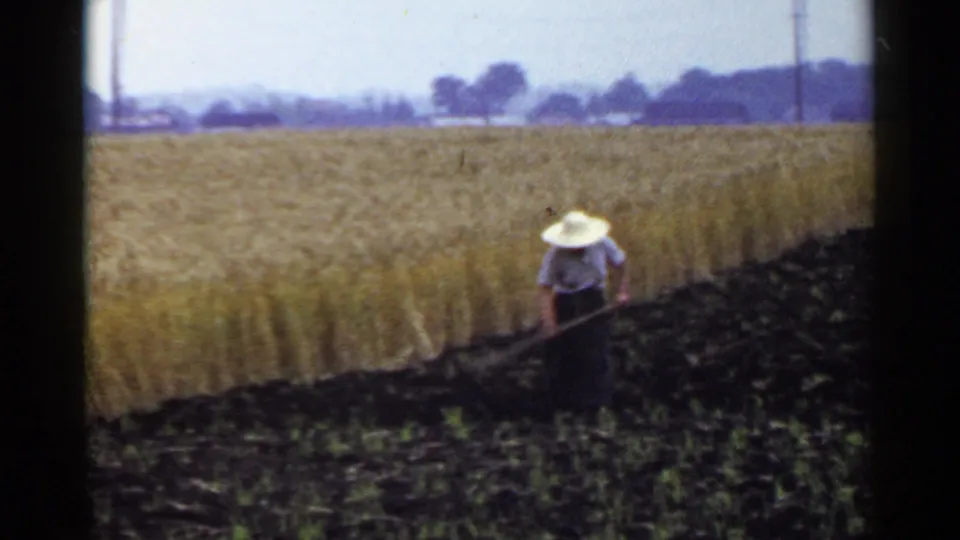 A woman in a straw hat uses a hoe in a rural Japanese field, with dark loam in front and golden crops behind.