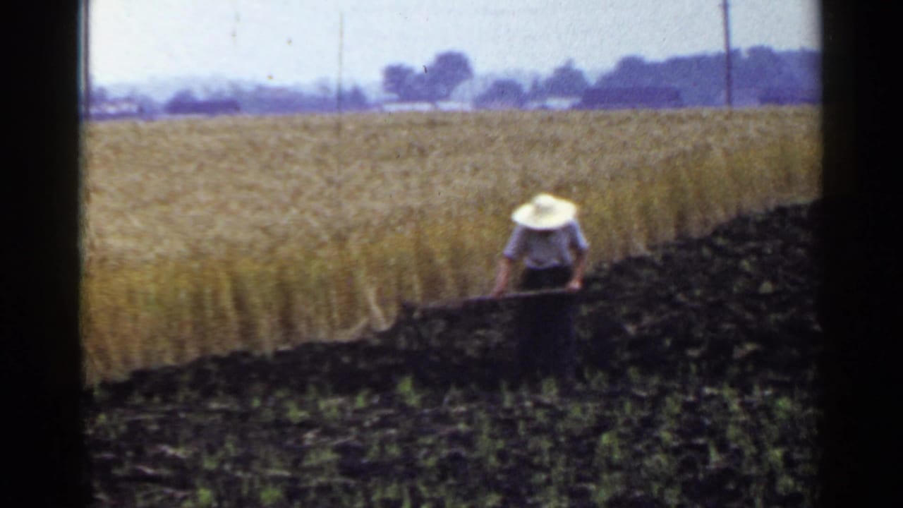 Man in a hat working at the edge of a dark plowed field beside a golden crop field.