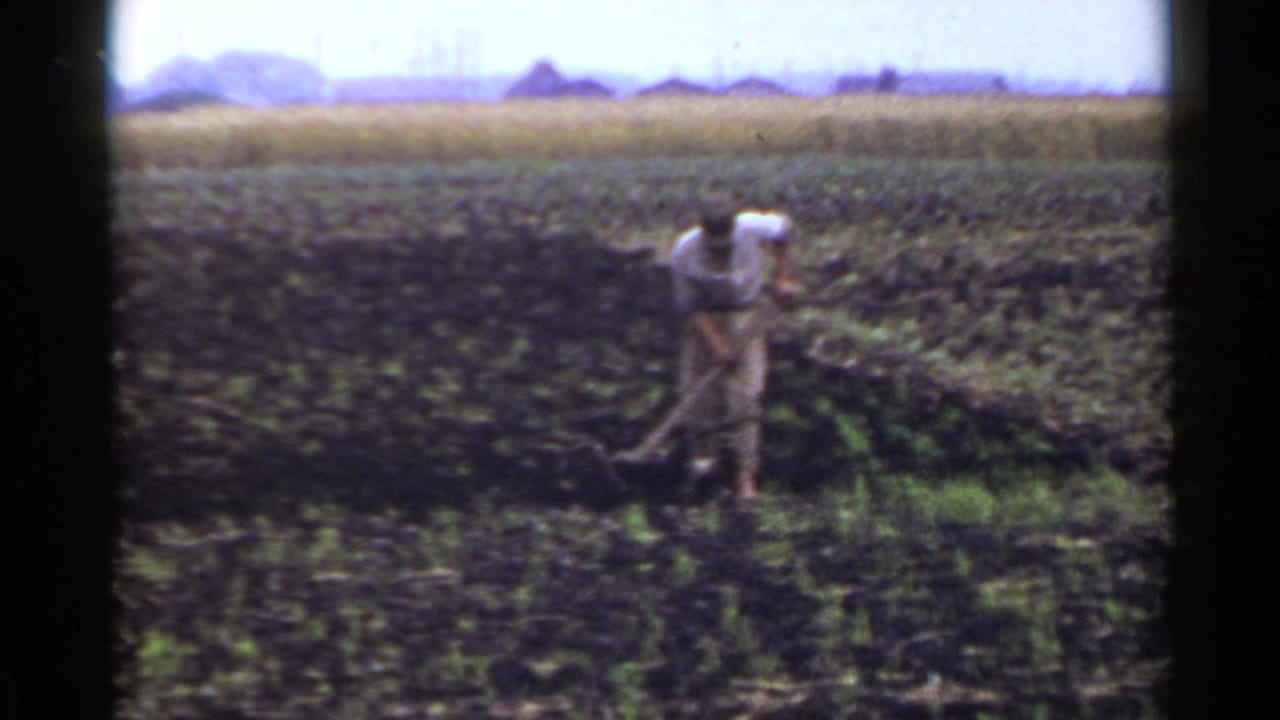 Man using a long-handled tool in a dark field with crops and distant houses behind him.