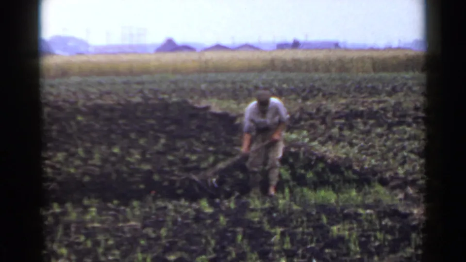 1953 Japan 8mm frame showing a field worker bent forward over a hand tool in dark earth near cultivated rows.