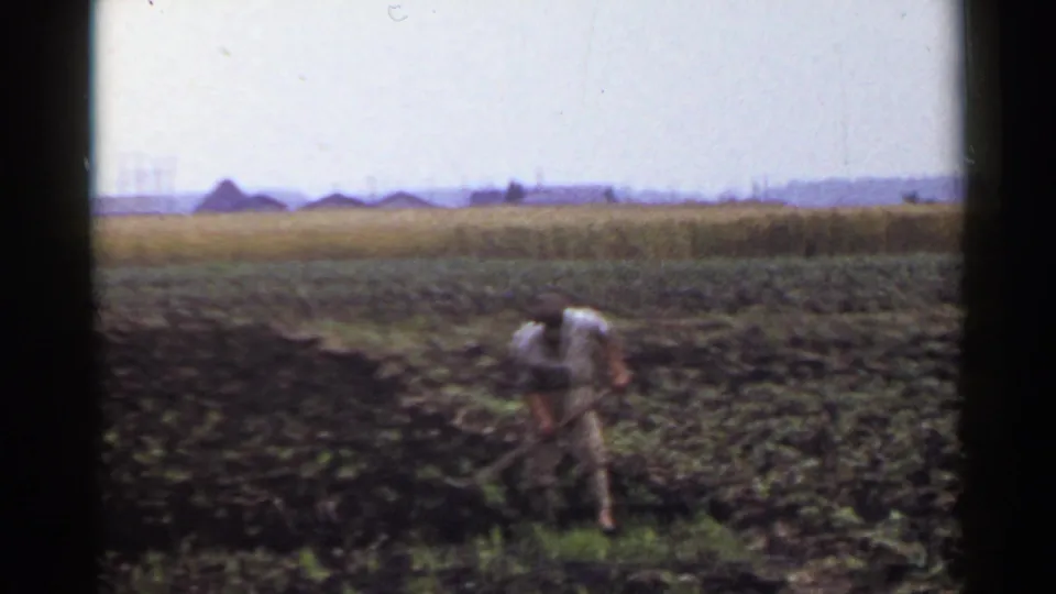 A farmer in rural Japan, dated 1953 by metadata, works close to a green patch within a tilled field, filmed in soft 8mm color.