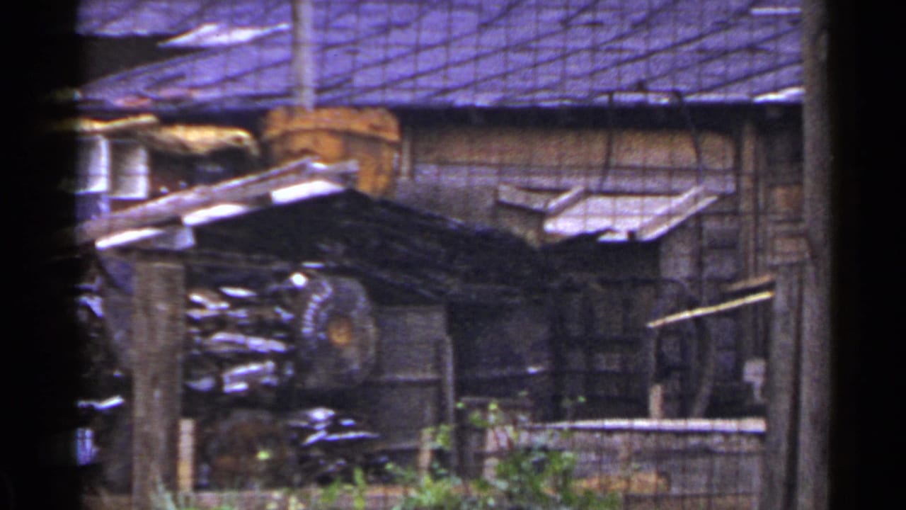 Weathered wooden outbuilding area with stacked materials and a wire mesh or roof structure.