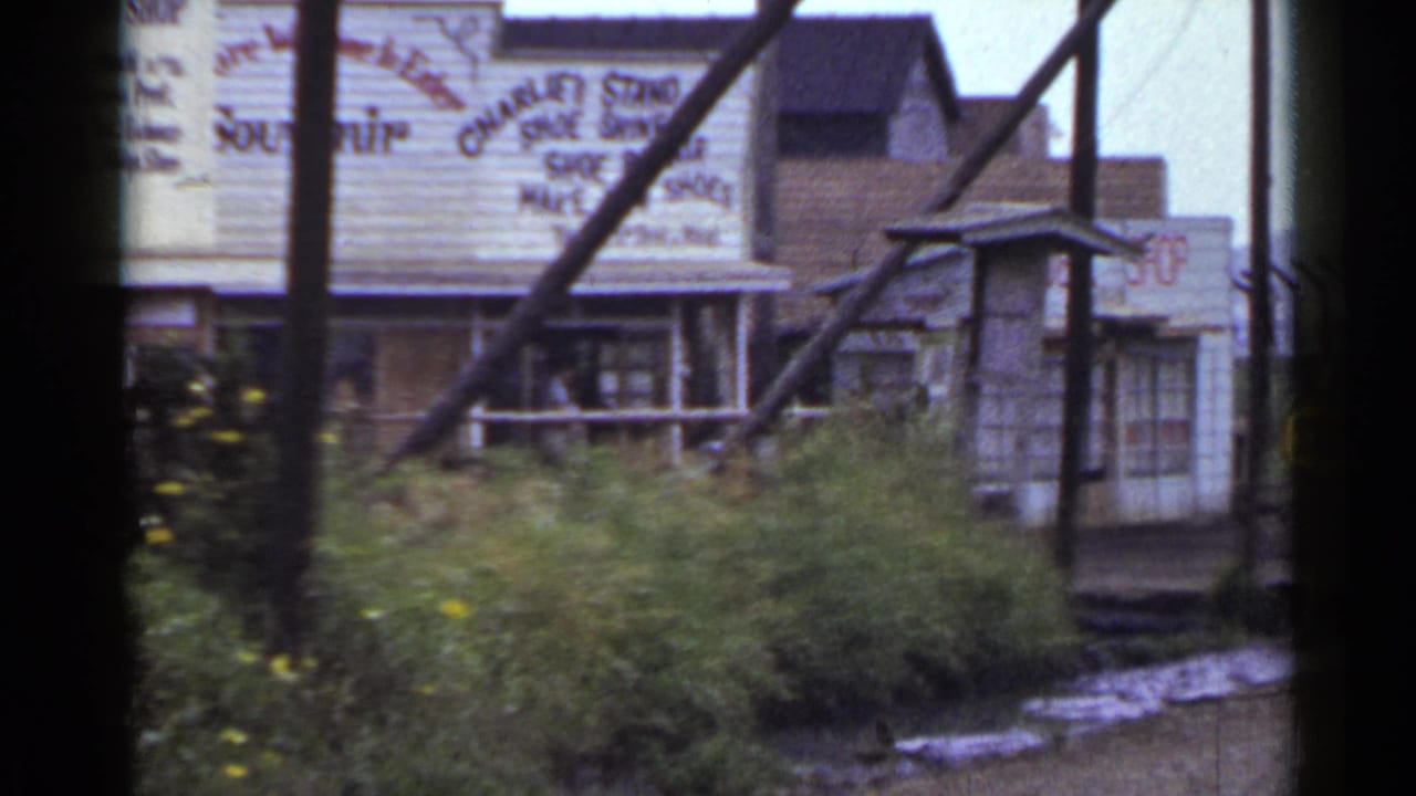 Shopfront signs, poles, bushes, and a wet roadside edge.