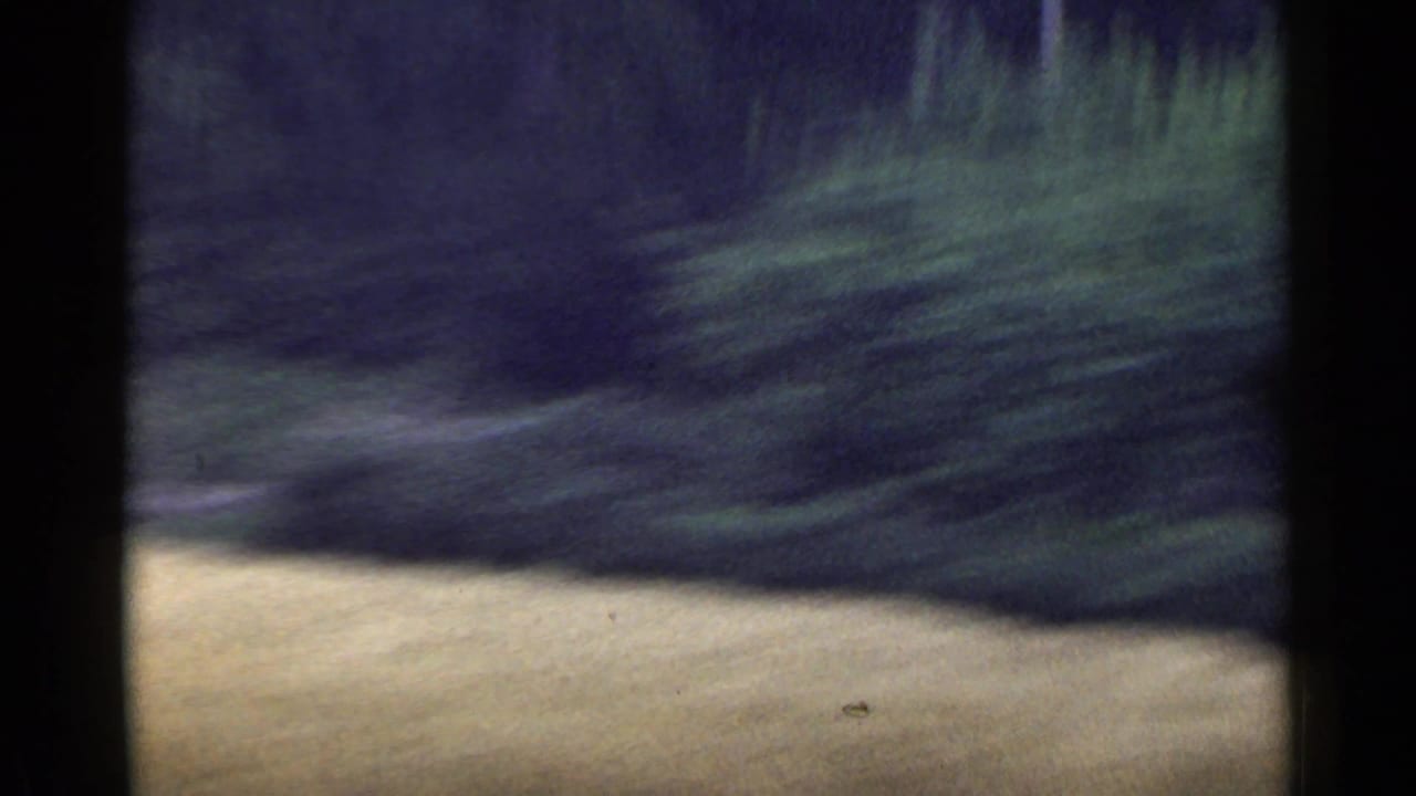 Blurred roadside field and dark tree line seen from a moving vehicle.