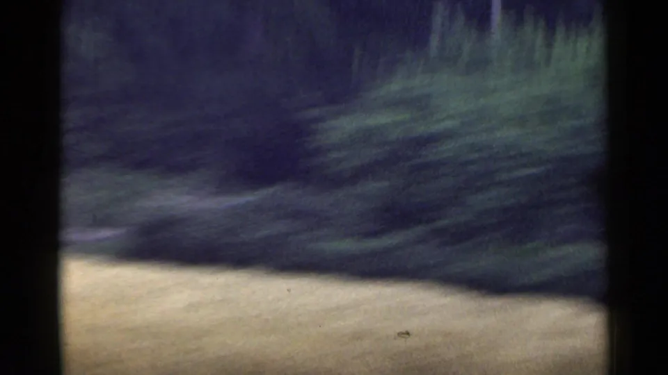 1953 Japan 8mm frame with a blurred pale field in front of a dark green tree line, shot from a moving vehicle.