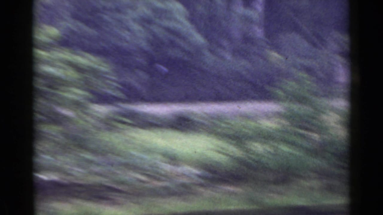 1953 Japan countryside view with green vegetation, a pale horizontal strip, and wooded background softened by motion blur.