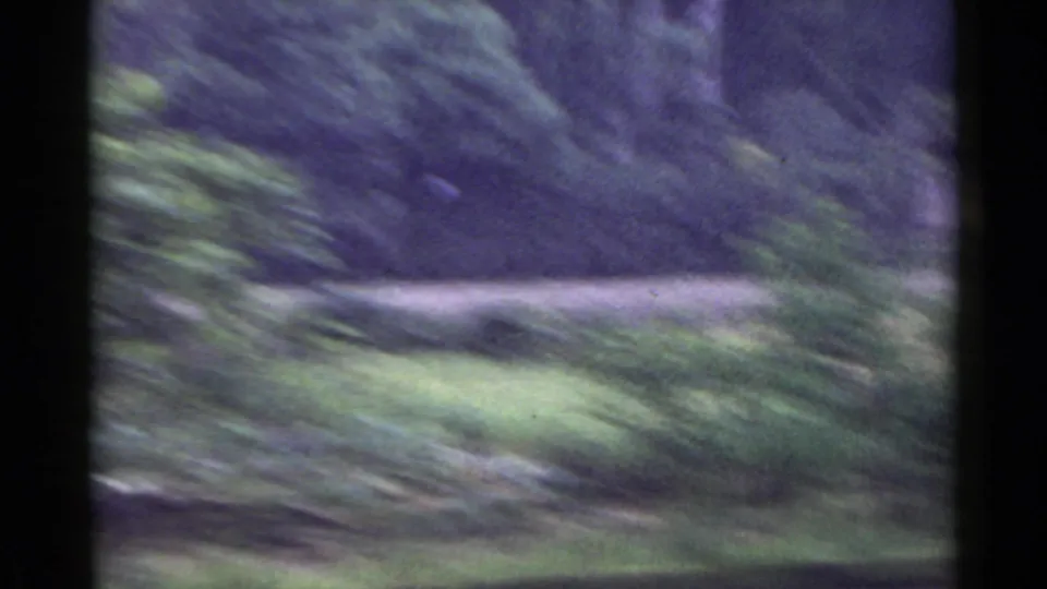 1953 Japan countryside view with green vegetation, a pale horizontal strip, and wooded background softened by motion blur.