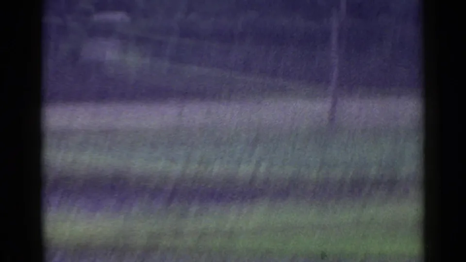 1953 Japan countryside frame showing a green field and dark trees, with strong motion blur and a vertical film mark.