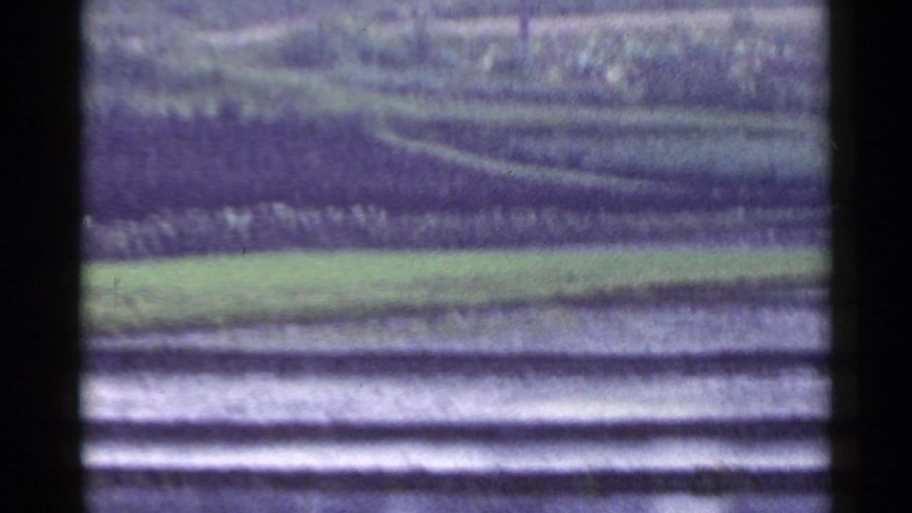Soft green field bands with dark frame edges and distant horizontal ground lines.