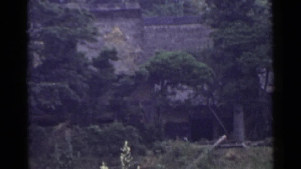 1953 Japan countryside frame with trees, brush, a small stone structure, and a utility pole in a shaded rural setting.