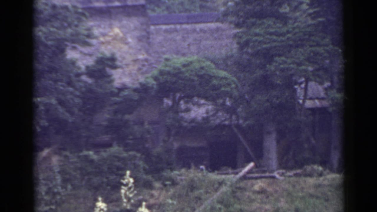 Trees and shrubs partly conceal a rural house behind a rough wall.
