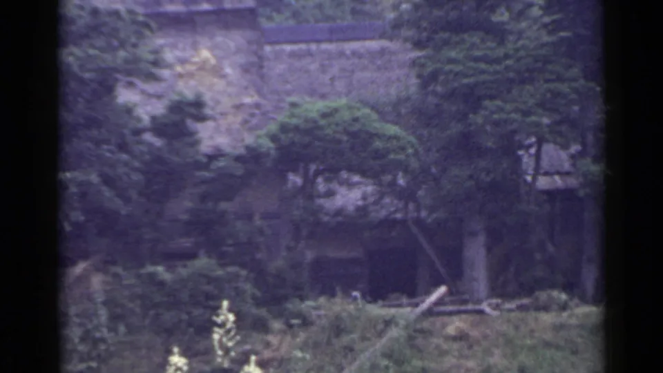 1953 Japan home-movie frame showing dense greenery around a partly hidden rural house and wall.