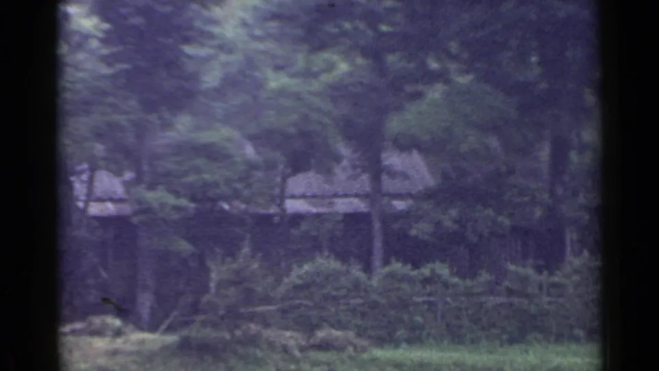 Soft 8mm frame from Japan in 1953 showing trees, brush, and a rural building set back in greenery.