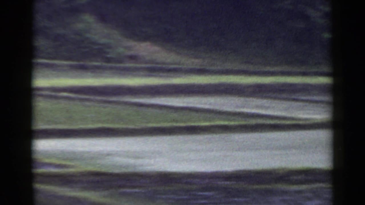 Terraced flooded rice paddies with blurred green field edges.