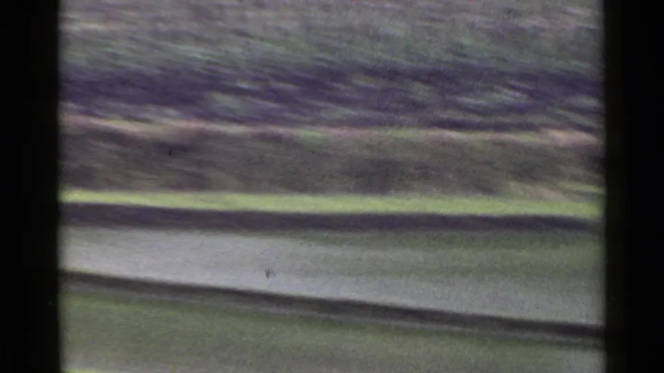 1953 Japan home-movie frame with flooded rice-field water, low terraces, and blurred rural vegetation.