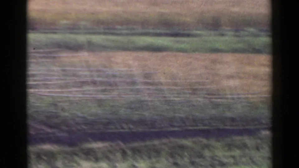 Soft 8mm frame of layered rice-field terrain in Japan, with muted green and brown vegetation across the landscape.