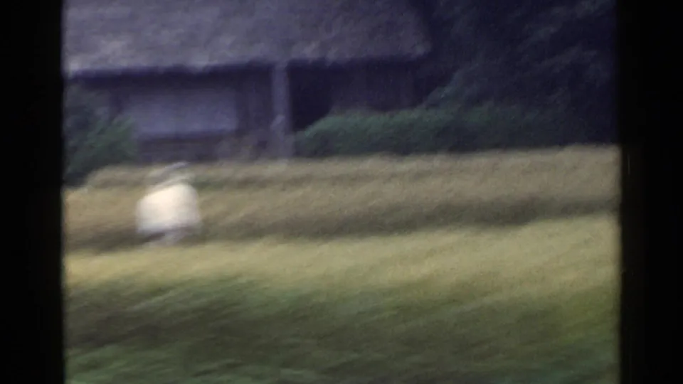 1953 Japan 8mm frame showing a blurred green field and low rural structure seen from a moving viewpoint.