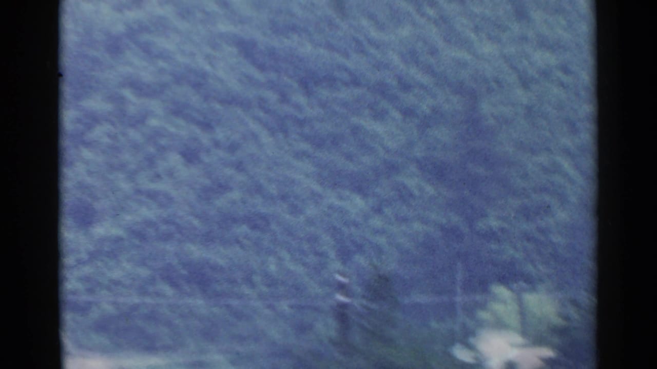 1953 Japan 8mm frame showing blurred green hillside and roadside vegetation from a moving vehicle, partly blocked by a dark frame edge.