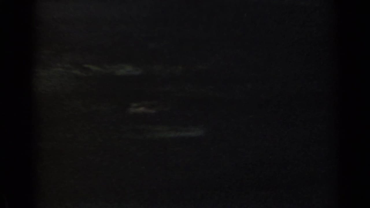 Very dark frame with faint foliage and heavy underexposure.