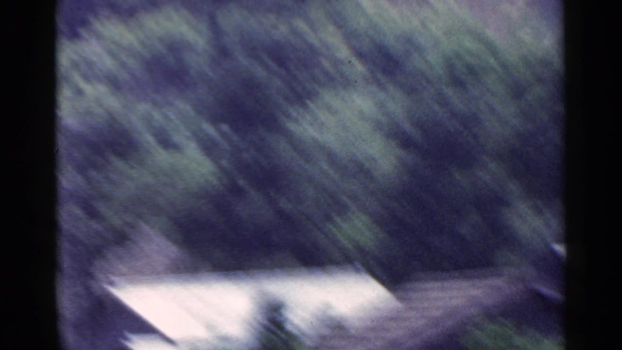 Shaky 1953 Japan 8mm view of blurred green trees with a pale roofline or wall partly visible near the lower frame.