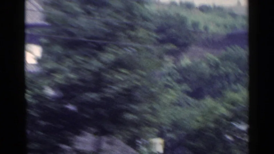 Handheld 1953 Japan countryside frame showing dense blurred foliage and small pale roof edges near the left and lower areas.