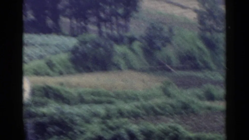 1953 rural Japan frame with layered fields, trees, and a partial tiled roof visible near the top edge.