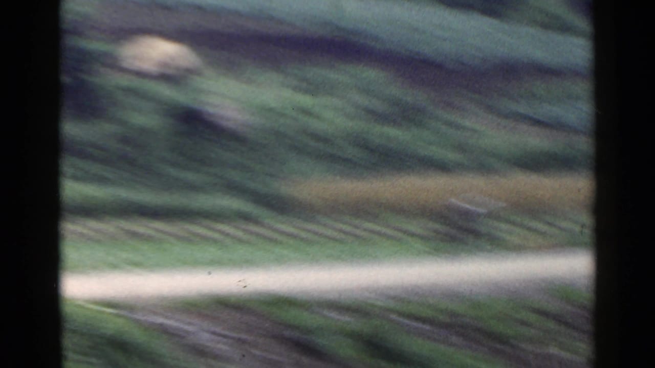 1953 Japan 8mm frame with streaked green roadside foliage and a pale horizontal road band blurred by vehicle movement.