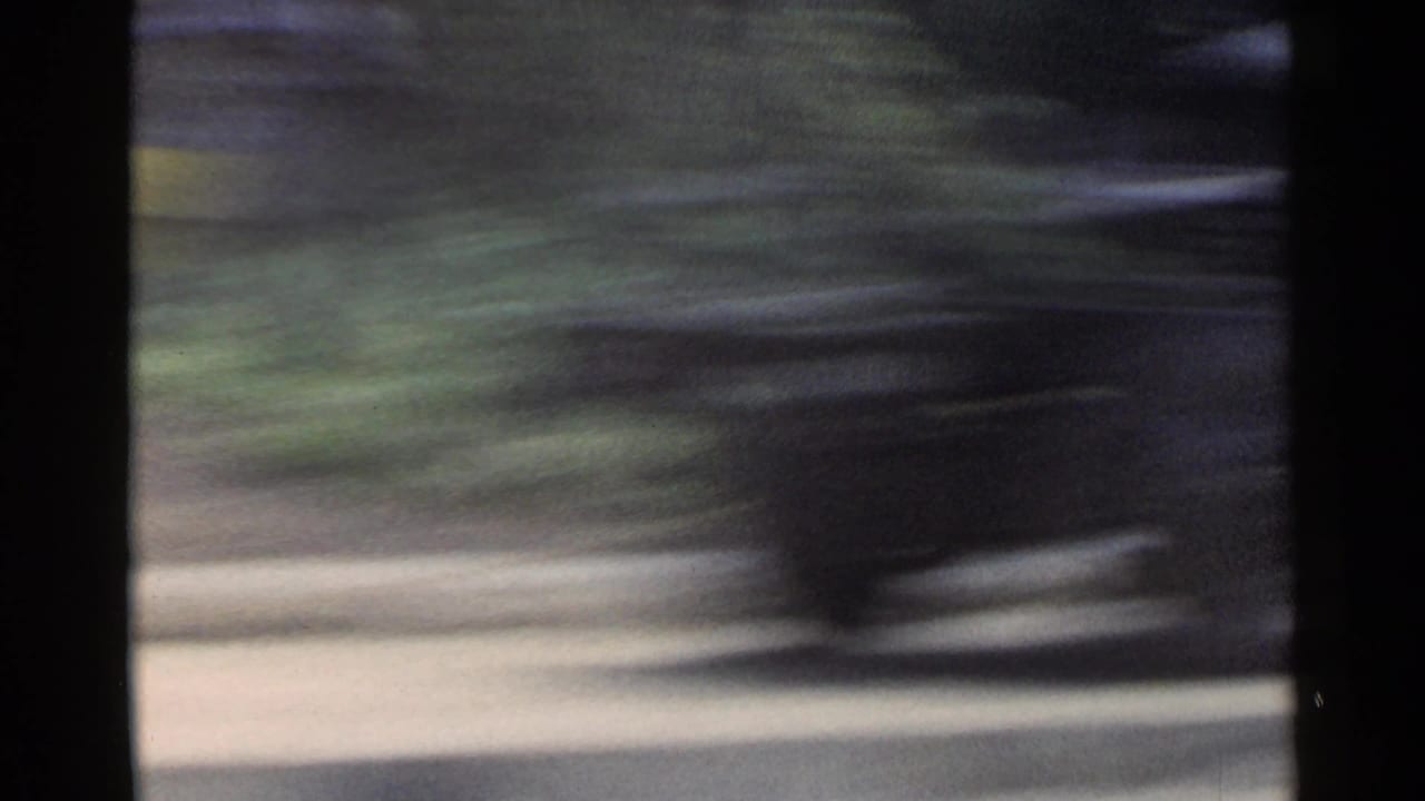 1953 Japan vehicle POV with trees, a light roadside strip, and dark foreground framing softened by rapid lateral motion.