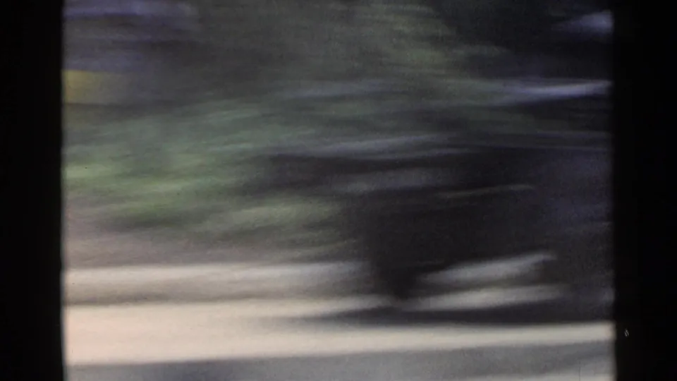 1953 Japan vehicle POV with trees, a light roadside strip, and dark foreground framing softened by rapid lateral motion.