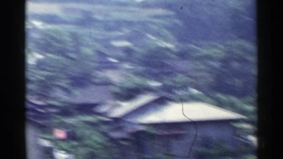 Soft 1953 Japan home-movie view over dense greenery and a modest rooftop, with motion blur from handheld filming.