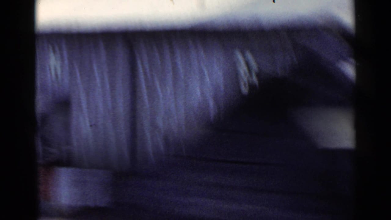 Blurred corrugated-roof structure and dark foreground framing with a pale sky above.