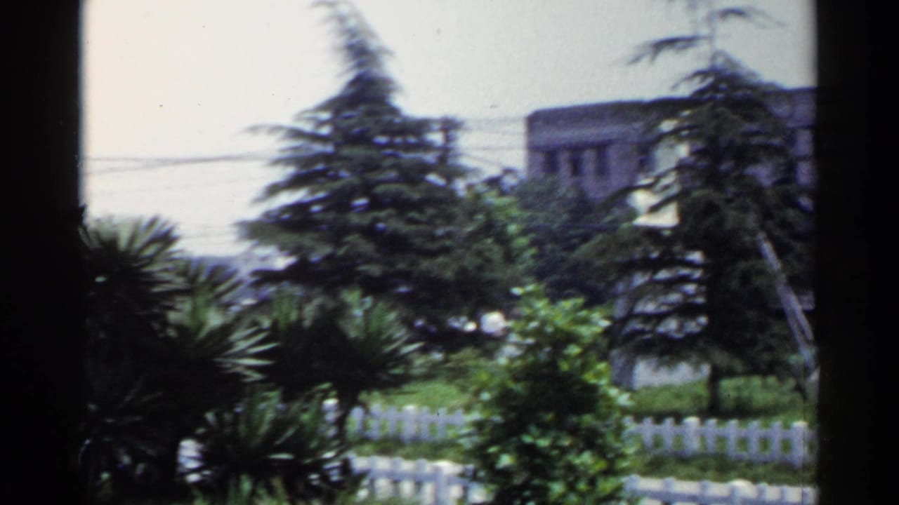 Garden fence and greenery beside a suburban street with a pedestrian in the distance.