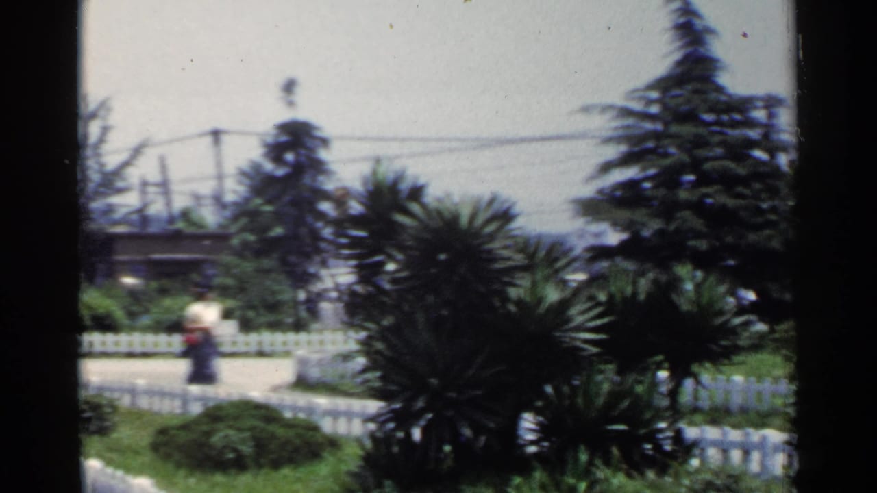 1953 Japan frame with a distant pedestrian moving along a fenced, planted roadside with evergreens and overhead wires.