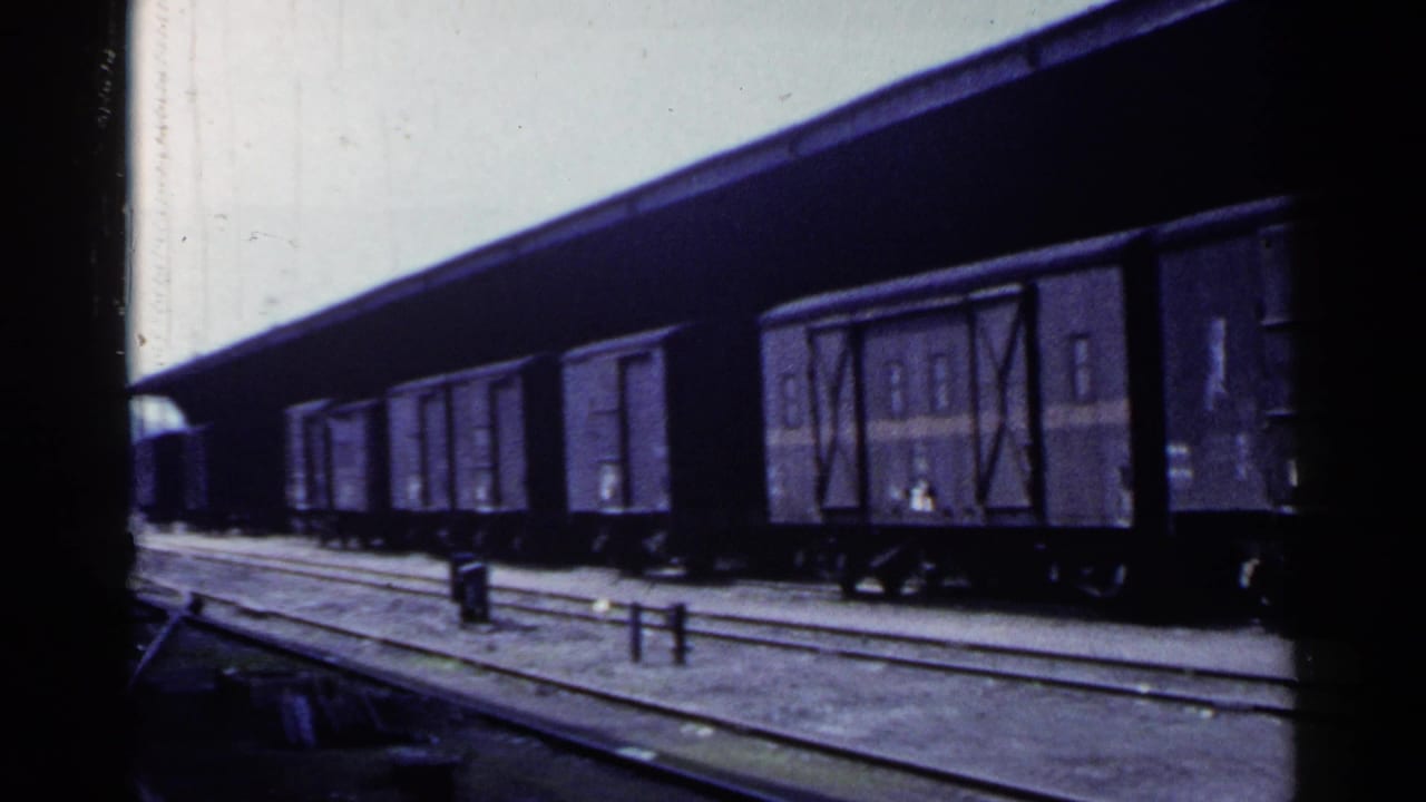 Dark freight wagons stopped beside multiple railway tracks under a long station canopy.