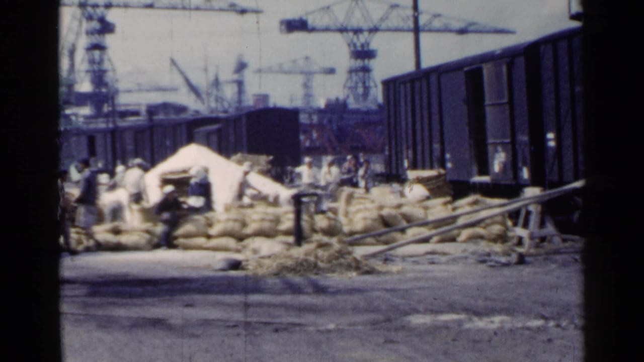 Workers load sacks beside dark freight cars with cranes in the background.