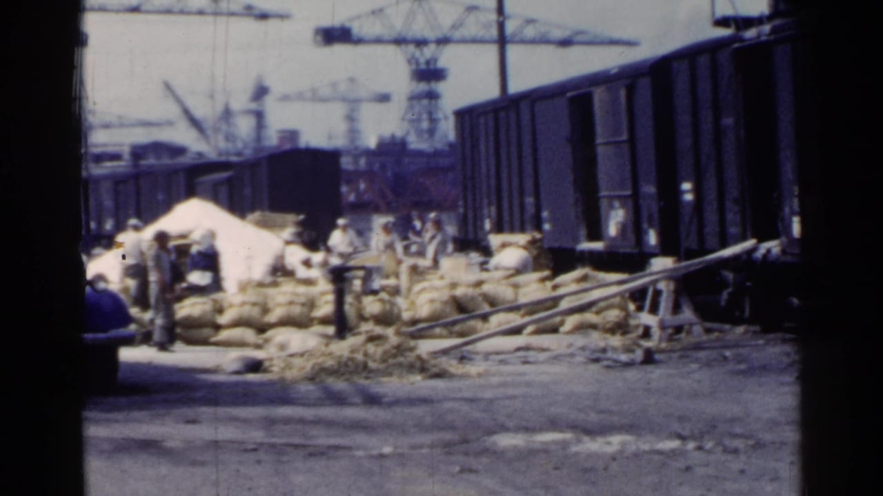 Workers stand and move around stacked sacks beside rail cars and cranes.