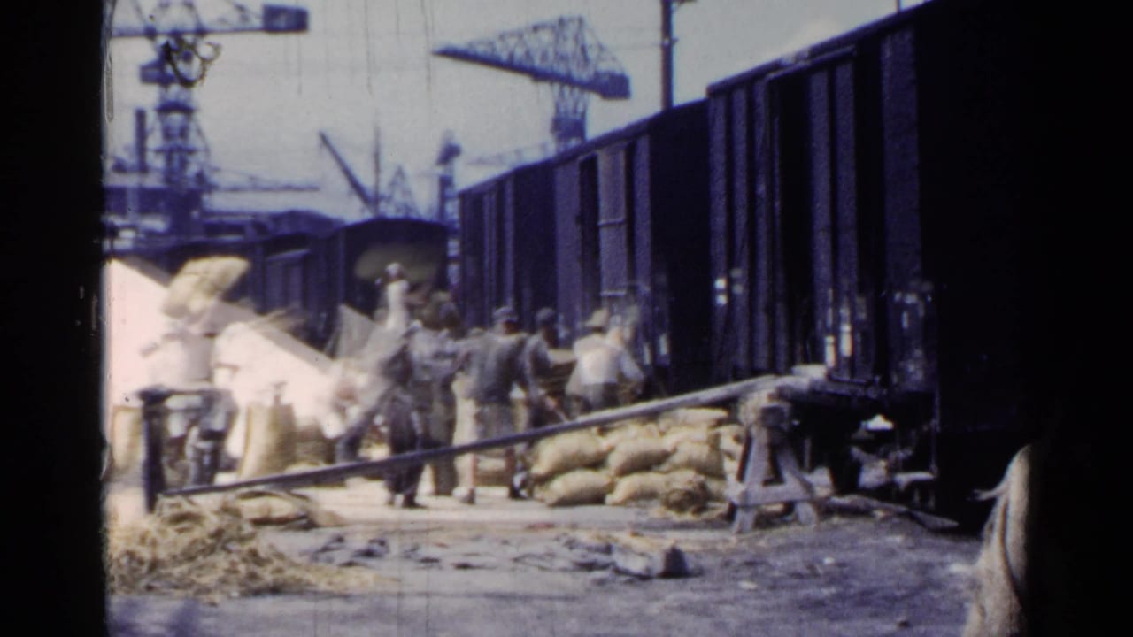 Workers balance sacks and move cargo near freight cars and dock cranes.