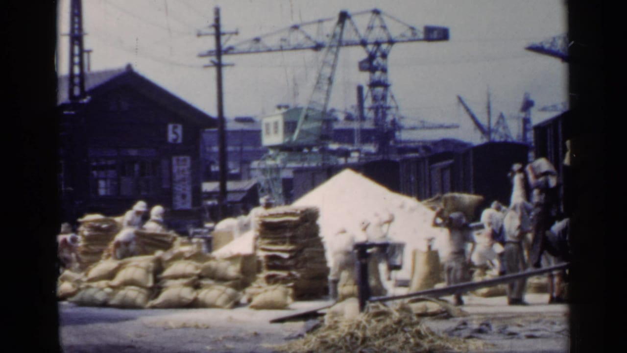 Workers handle burlap sacks beside railcars at a port with cranes in the background.