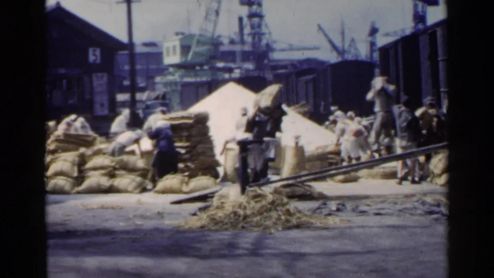 1953 Japan port footage showing a worker carrying a heavy sack on his shoulder as others load and stack cargo beside railcars.