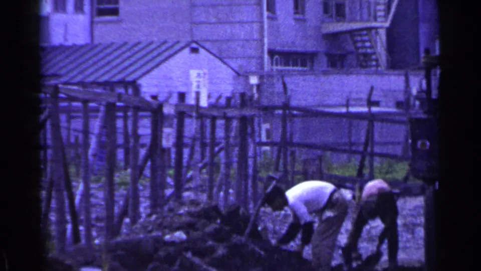 In 1953 Japan home-movie footage, two adults dig or sort a mound of soil near a rough wooden fence and modest buildings.