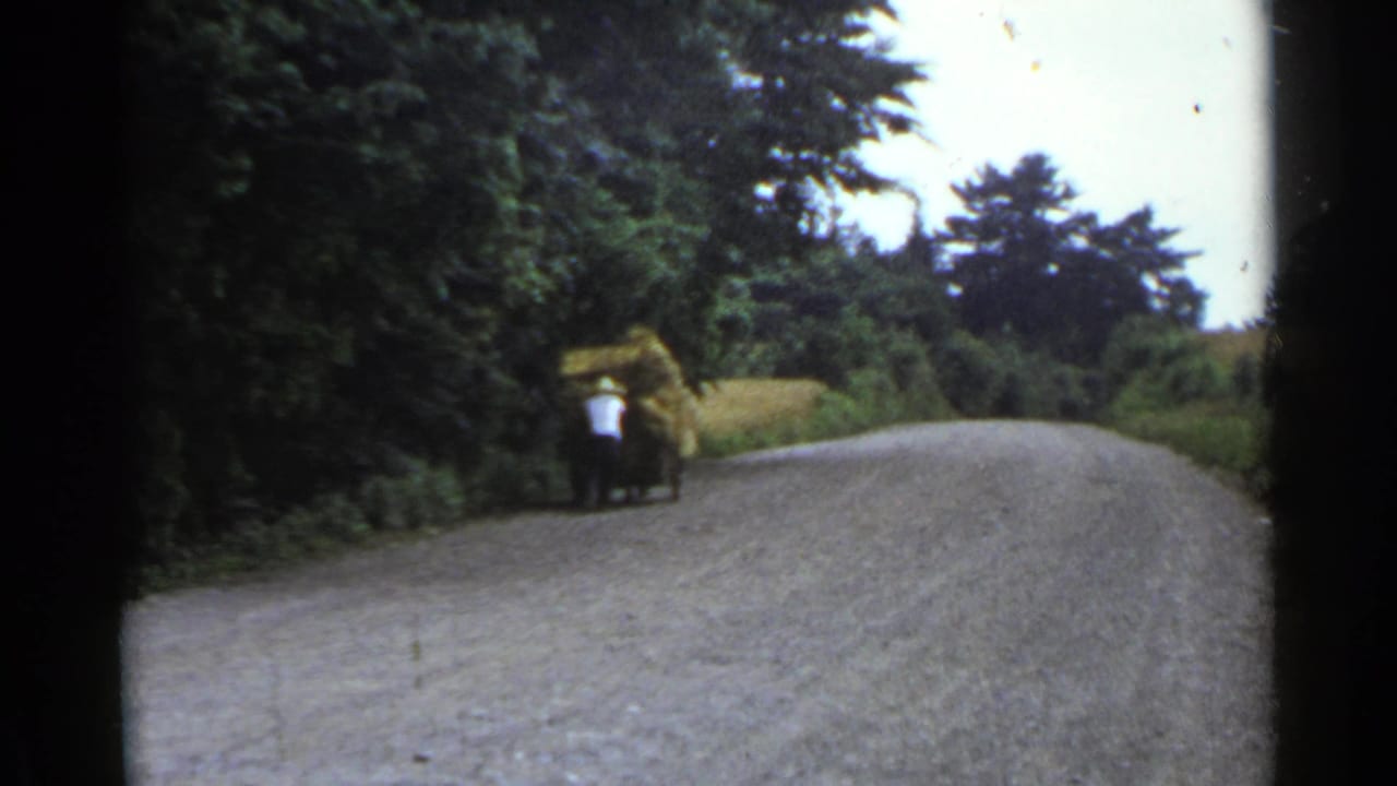 In 1953 Japan home-movie footage, a man in a white shirt pushes a loaded cart uphill on a rural gravel road lined with greenery.