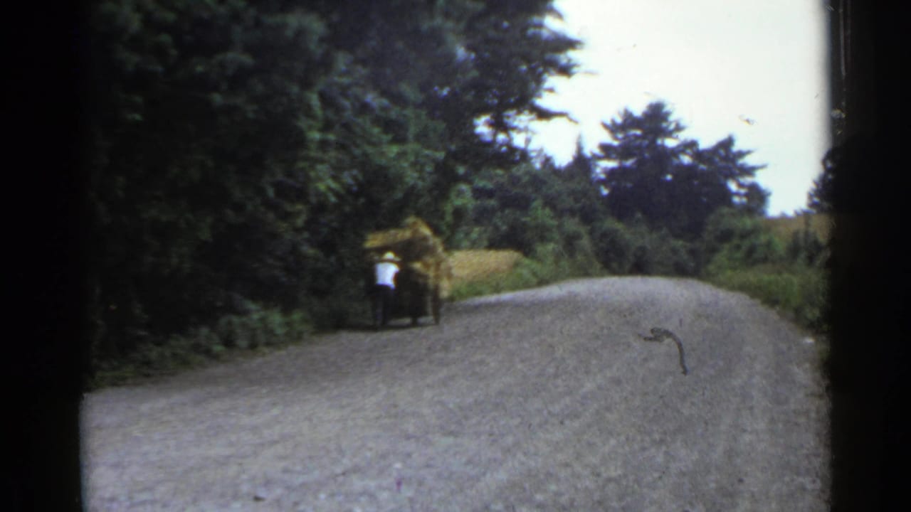 The cart remains near the roadside as the man pushes it uphill, with dense trees and open sky framing the rural Japan road scene.