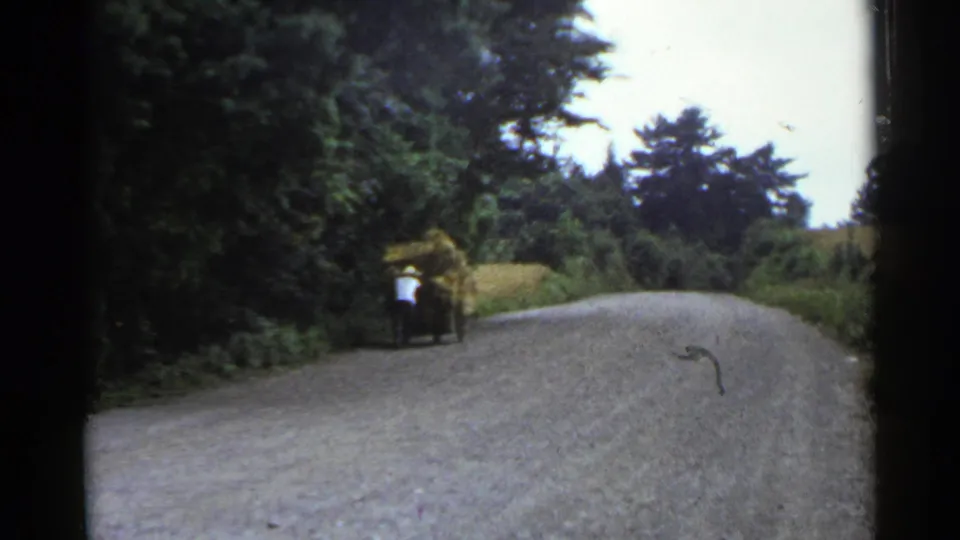 The cart remains near the roadside as the man pushes it uphill, with dense trees and open sky framing the rural Japan road scene.