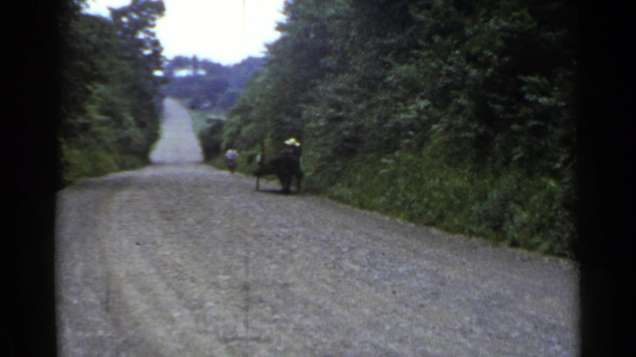 1953 Japan home-movie frame showing a distant man with a small cart on an empty gravel road lined with greenery.