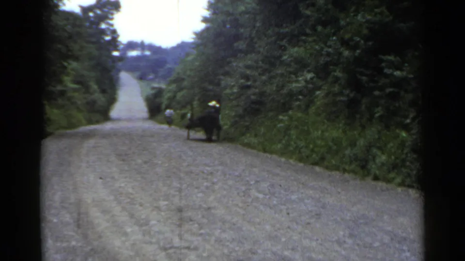 1953 Japan home-movie frame showing a distant man with a small cart on an empty gravel road lined with greenery.