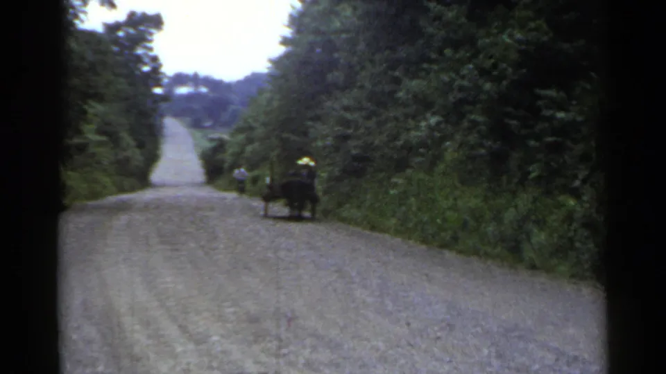 1953 Japan home-movie still showing a man and cart receding along a long gravel road with heavy greenery on both sides.
