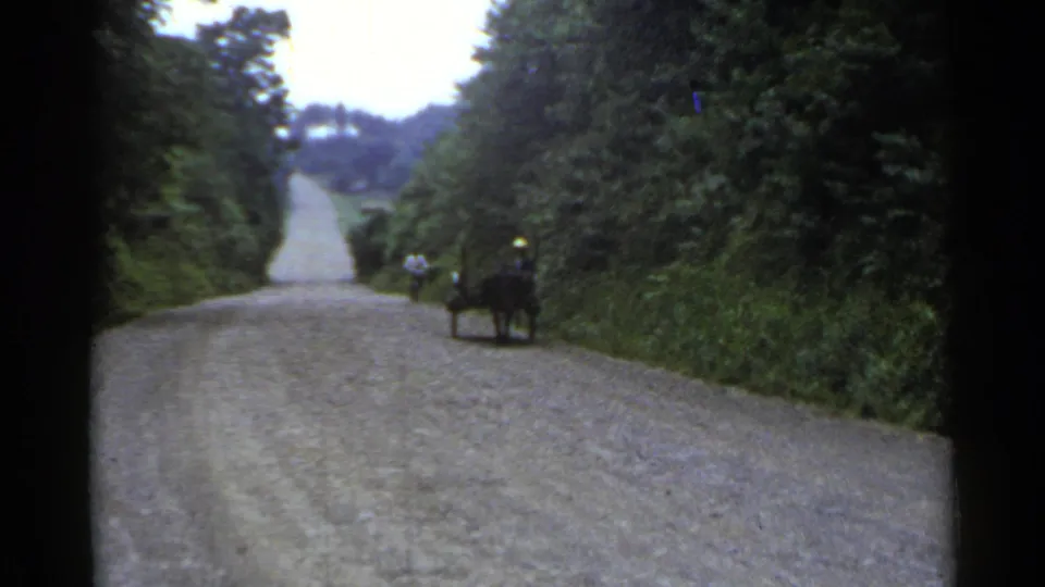 1953 Japan frame of a distant person beside a small cart on a quiet gravel road, with dense trees and brush along the roadside.