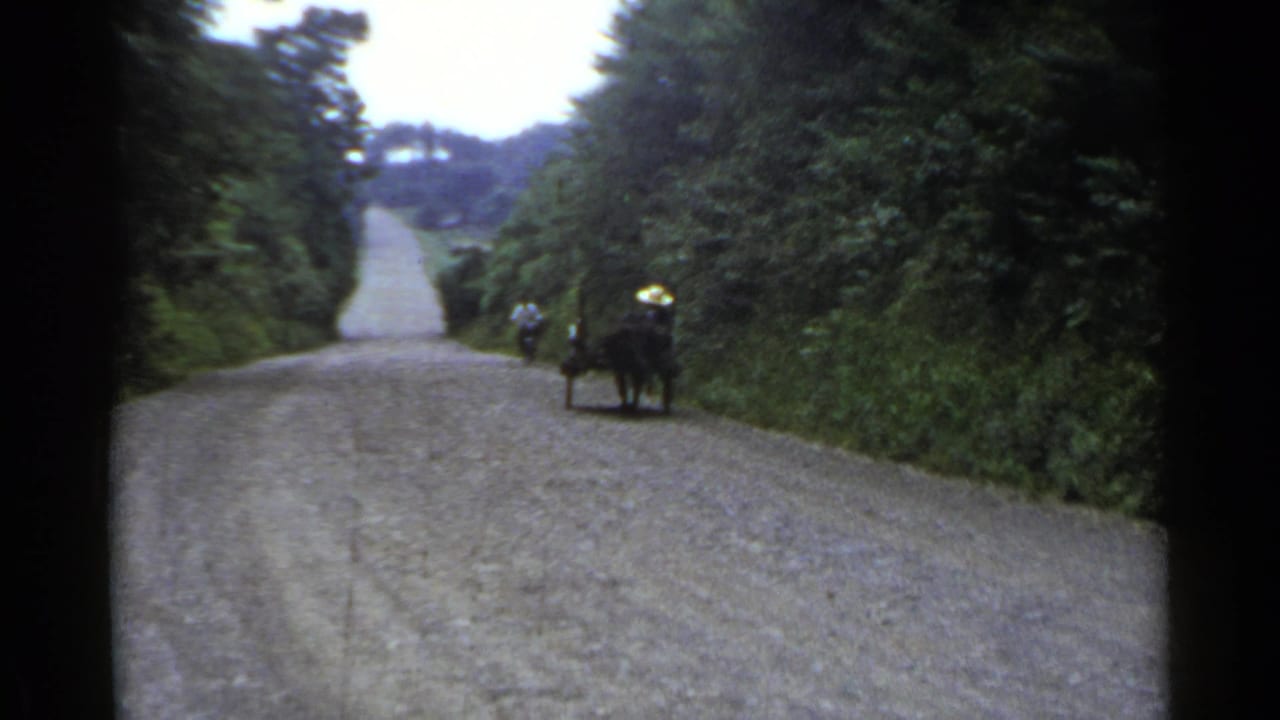 1953 Japan home-movie frame showing a horse-drawn cart and distant cyclist on a tree-lined gravel road.